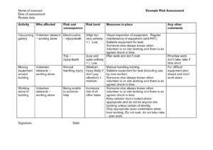 thumbnail of RCO-risk-assessment-example-4